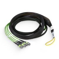 12Fx4 MTP Pro/PC Female to MTP Pro/PC Female OM5 Multimode Bundle Cable