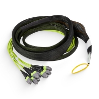 16Fx8 MTP/APC Female to MTP/APC Female OM5 Multimode Bundle Cable