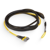 8Fx2 MTP/APC Male to MTP/APC Male OS2 Single Mode Bundle Cable